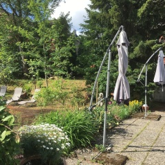 Hotel Hasselhof Superior - Bild 23