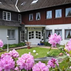 Hotel Waldrausch - Bild 1
