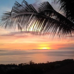 The Ocean View Villa - Bild 8