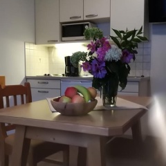 Apart Hotel Garni Austria - Bild 21