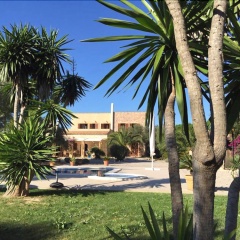 Finca S'Olivar d'es Coscois - Bild 11