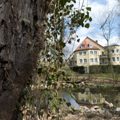 Hotel Villa Weltemühle Dresden - Bild 11