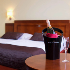 Luxury Family Hotel Bila Labut - Bild 8