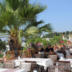 Phoenix Sun Hotel - Bild 28