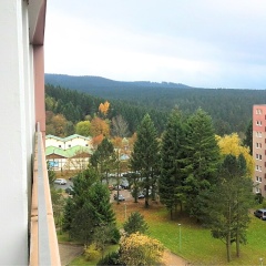 Appartements Am Kranichsee - Bild 11
