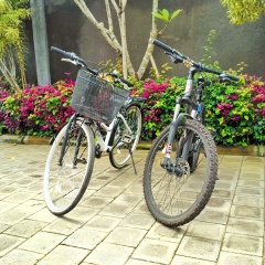 Amelle Villas & Residences Canggu - Bild 19