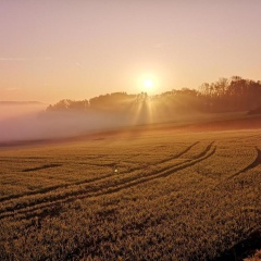 Landgasthof Zum Kirchenwirt - Bild 11
