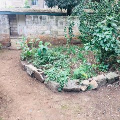 Idyllic Mistley House and Gardens Off Kamiti Road. in Nairobi, Kenya from 143$, photos, reviews - zenhotels.com photo 19