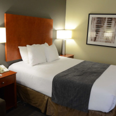 Best Western Delta Inn thumbnail 3