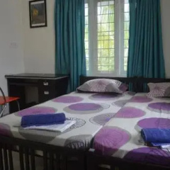 The Pod Cochin Homestay thumbnail 22