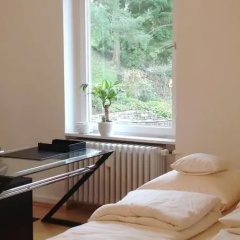 Apartment Baden - Bild 1