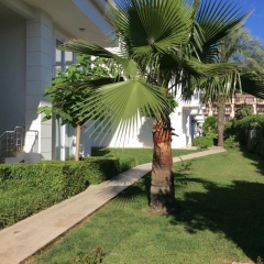 Attolos Residence - Bild 10
