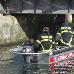 Pension Zur Fhrbrcke - Bild 12