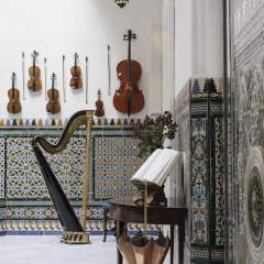 Hotel Amadeus Sevilla - Bild 24
