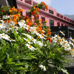 BIO Hotel - Hotel Quinta da Serra thumbnail 23