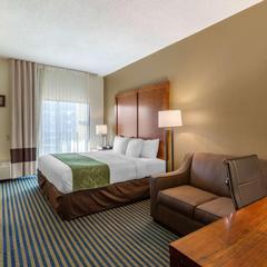 Comfort Suites Leesburg in Leesburg, United States of America from 153$, photos, reviews - zenhotels.com photo 38