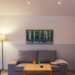 Ferienhaus Brauner Hirsch - Bild 1