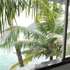 Goviyapana Beach Hotel thumbnail 11