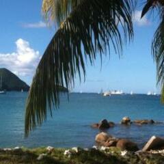 Bay Guesthouse in Marisule, St. Lucia from 303$, photos, reviews - zenhotels.com photo 18