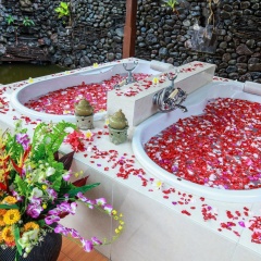 Banyualit Spa 'n Resort Lovina - Bild 10