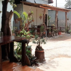 Unseen Bungalow - Bild 7