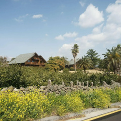 Sunny Day Jeju Pension thumbnail 18