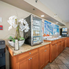 Econo Lodge Inn & Suites