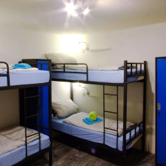 The Penny Pincher Inn - Hostel thumbnail 5