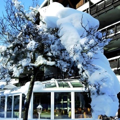 Riessersee Hotel - Bild 23