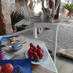 ca sa tia - Bild 11