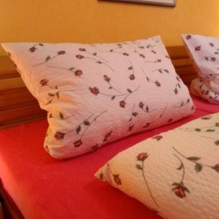 Pension Lange - Bild 6