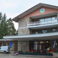 Hotel Edelweiss in Borovets, Bulgaria from 81$, photos, reviews - zenhotels.com photo 8