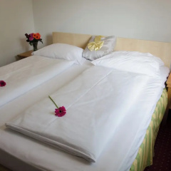 Hotel Rosenhof am Main - Bild 2