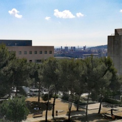 Amplio apartamento con terraza en zona muy tranquila - Bild 11