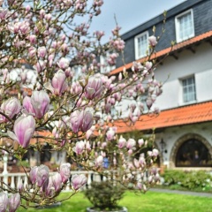 Vichter Landhaus - Bild 1