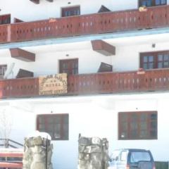 Tetri Saxli Hotel thumbnail 10