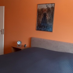 Ferienhaus im Harz mit Wanderwegen - Bild 5