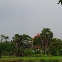 Отель Coconut Park Tourist Rest Шри-Ланка, Анурадхапура - отзывы, цены и фото номеров - забронировать отель Coconut Park Tourist Rest онлайн фото 11