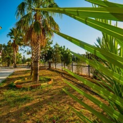 Prenses Sealine Beach Hotel Турция, Белек - отзывы, цены и фото номеров - забронировать отель Prenses Sealine Beach Hotel онлайн фото 6