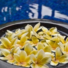 CK Villas Bali - Bild 10