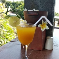 Asiana Lovina Hotel - Bild 13