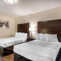 Rodeway Inn near Hollywood Beach in Hollywood, United States of America from 126$, photos, reviews - zenhotels.com photo 30