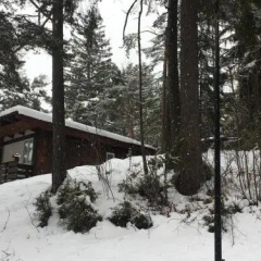 Villa Borca di Cadore thumbnail 14