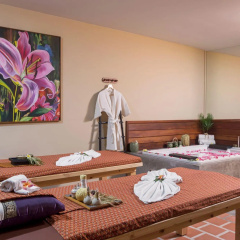 Naina Resort & Spa Hotel - Bild 14