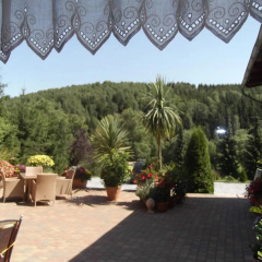 Pension Waldhof - Bild 7