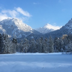 Hotel Schwansee - Bild 7