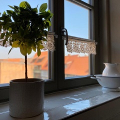 Apartmenthaus Seiler - Bild 7