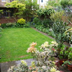 Kew Studios and Rooms - Bild 13