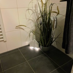 Apartment zur Wiege Anhalts - Bild 8