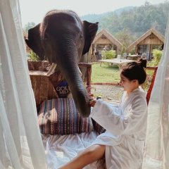 Mai Wang Elephant Homestay in Mae Wang, Thailand from 39$, photos, reviews - zenhotels.com photo 5